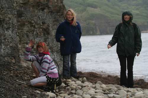 Fossil heaven for blog