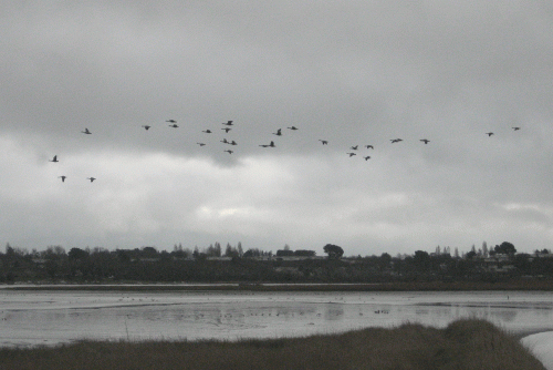 IMG_2318-Canadas-at-LB