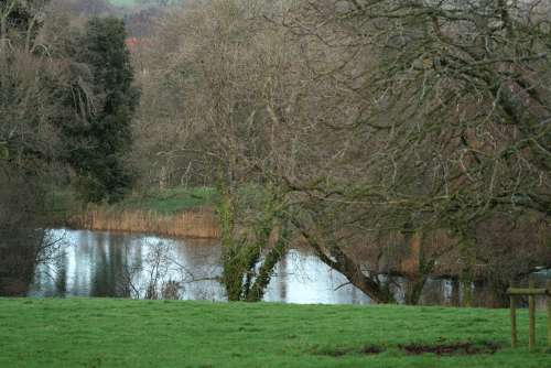 IMG_8764-Forde-Abbey