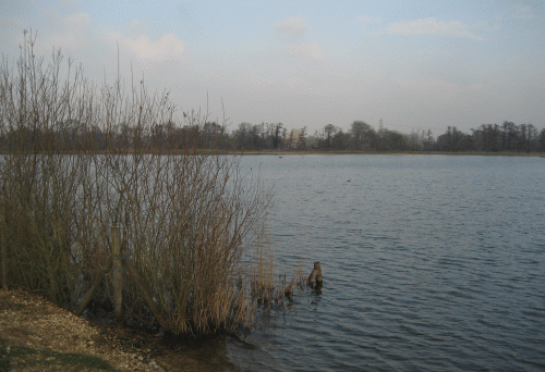 IMG_0028-Testwood-Lakes