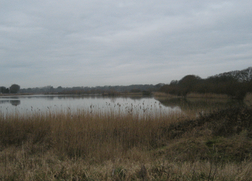 IMG_0064-Swineham-pits