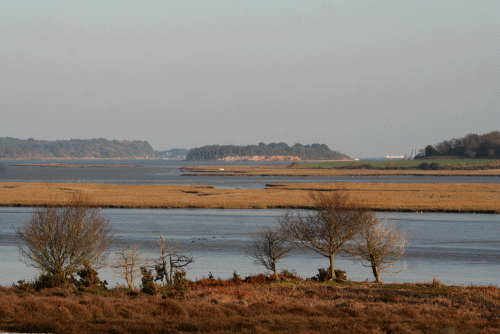 IMG_9230-Coombe-Heath