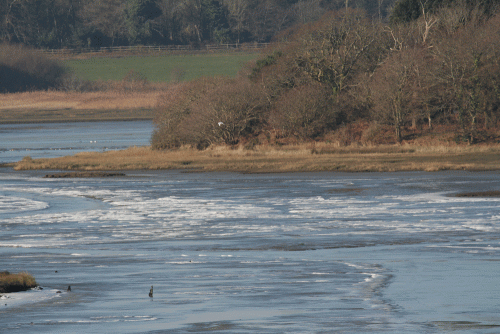 IMG_9251-Holes-Bay-frozen