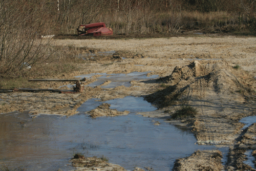 IMG_9253-Kerry-Foods-waste-