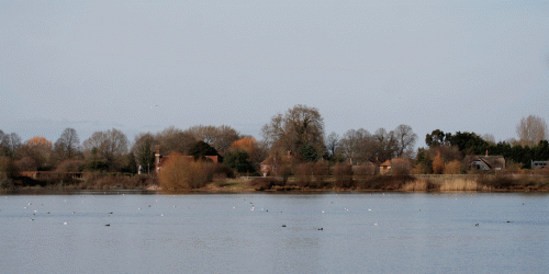 IMG_9921-Ibsley-Water