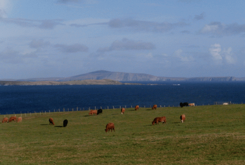 PA020309-Sandwick-looking-n