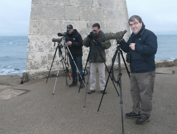P1051382-seawatching-at-the