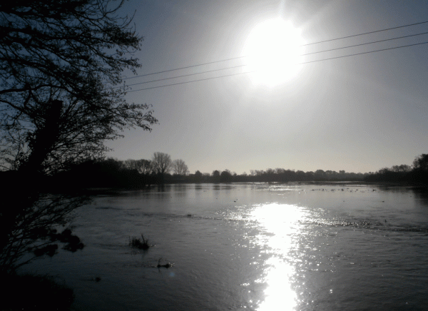 P1110004-Bickersly-Common