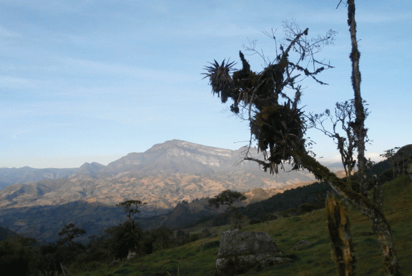 P2030090-Colombia-hillside