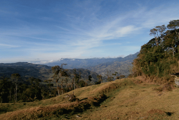 P2030095-Colombia-hillside