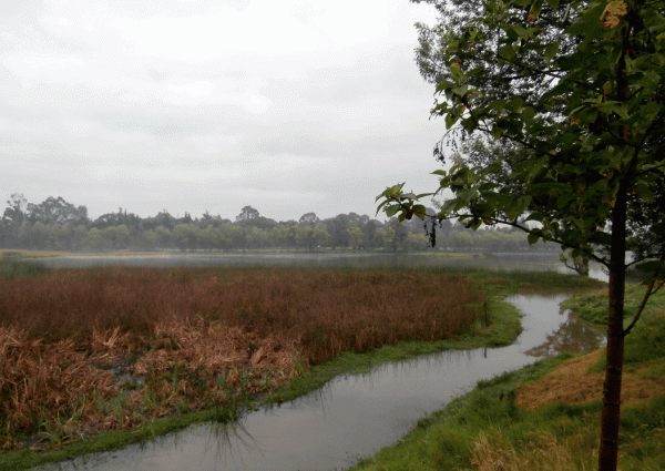 P2050115-Colombia-la-Florid