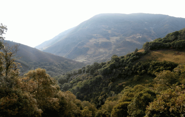 P2060125-Soata-hills