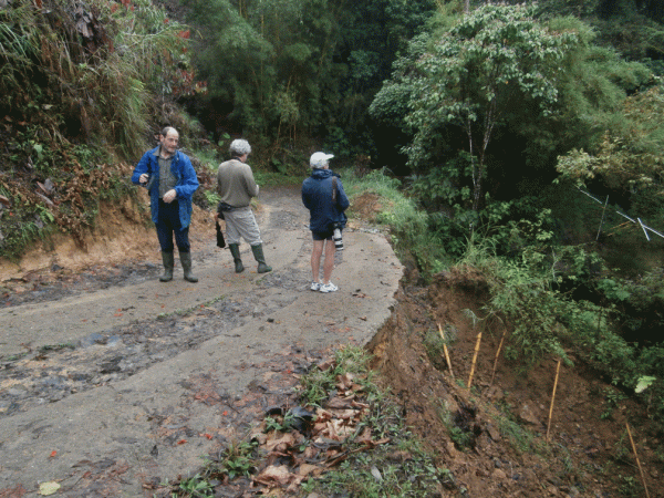 P2080191-Cerulea-road