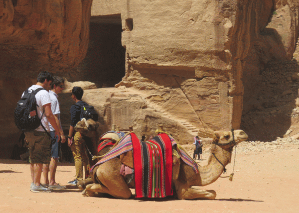 IMG_0492-Petra
