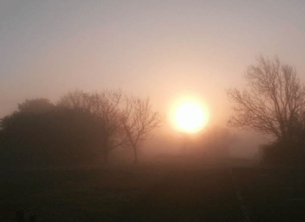 P5060506-Durlston-dawn