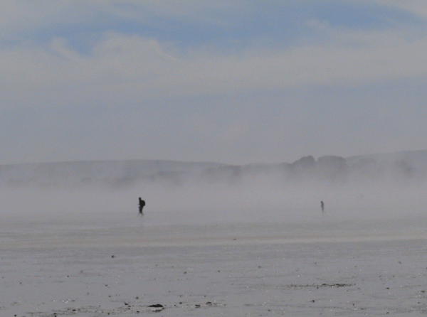 P5060544-Sandbanks-fog