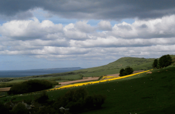 P5230607.gif-Kimmeridge