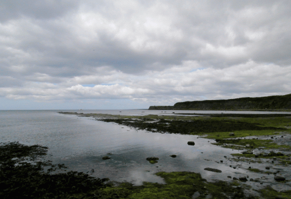 P5230612.gif-Kimmeridge