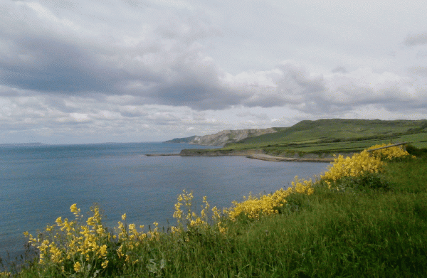 P5230620.gif-Kimmeridge