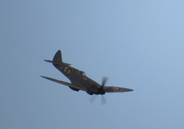 IMG_2896-Spitfire-M19