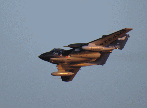 IMG_2908-Sea-Vixen
