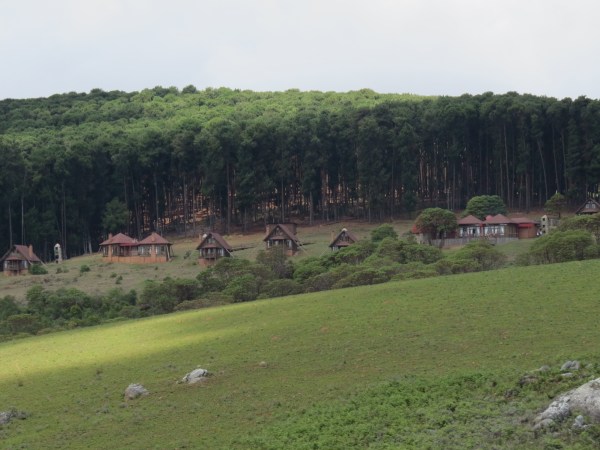 IMG_4968 Nyika Platea lodge