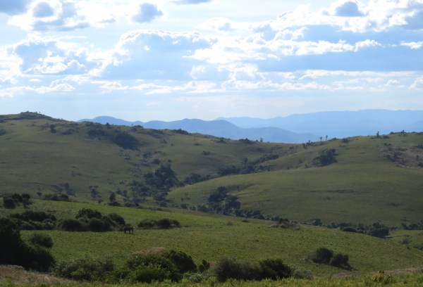 IMG_4978 Nyika Plateau