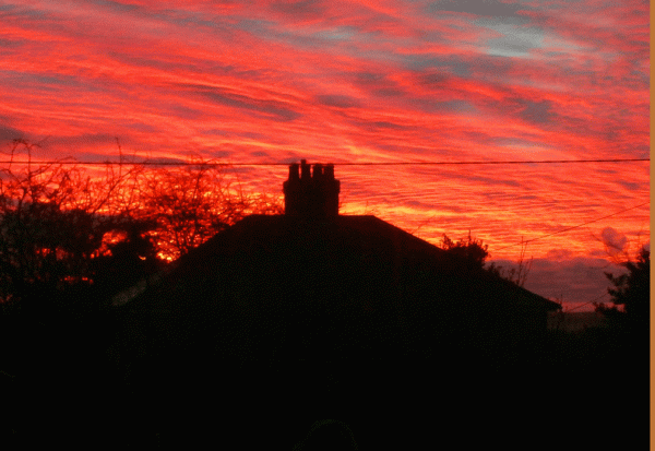 P1050309-Red-Sky-in-the-mor