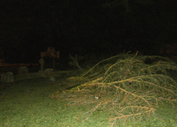 P2140007-Churchyard-tree