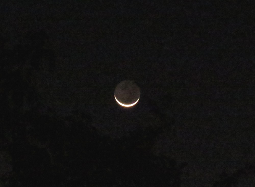 IMG_0212 new moon