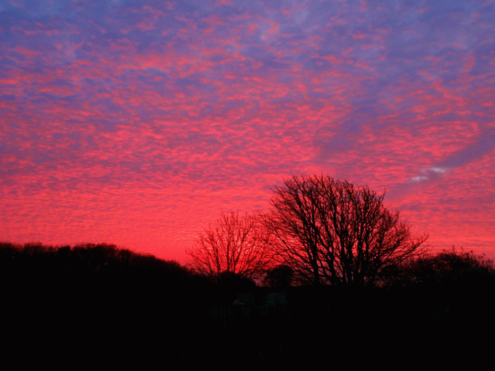 P4120285-Durlston-dawn