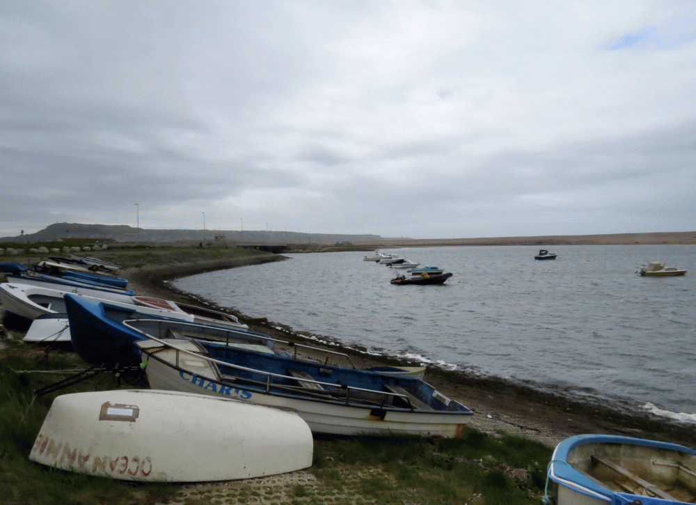 IMG_0050-Ferrybridge