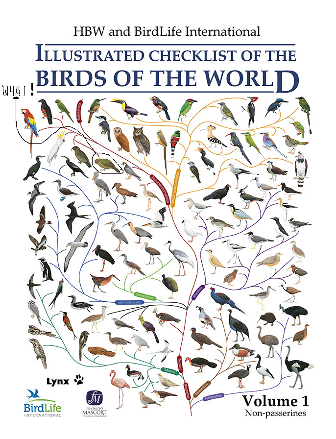 sobrecoberta-Checklist-arbre-03.ai