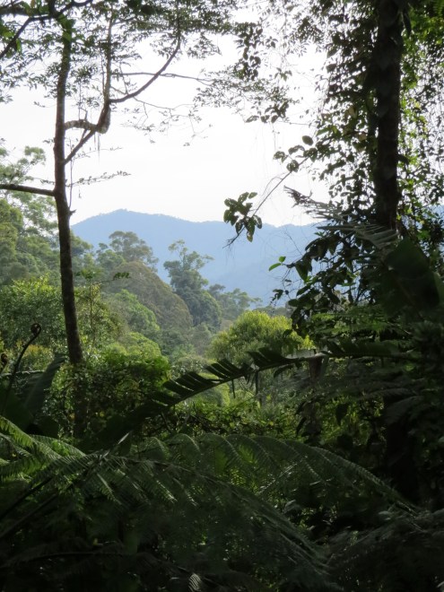 IMG_0657 Crocker range