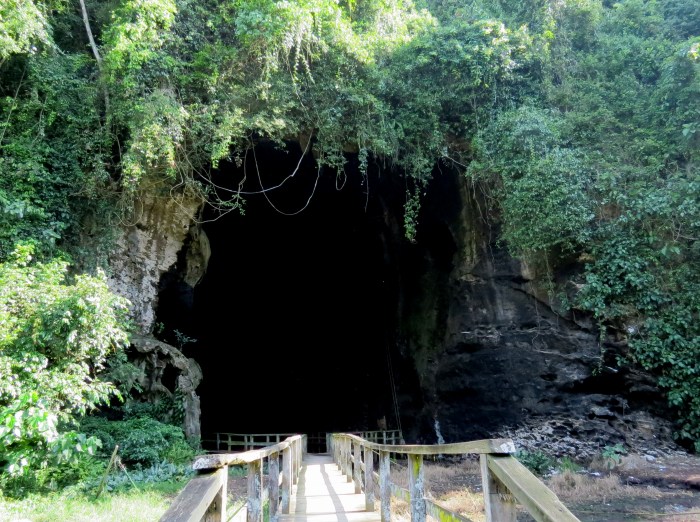 IMG_0766 Gomantong caves