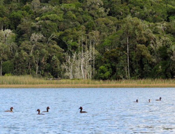 IMG_0827 25% of world pop