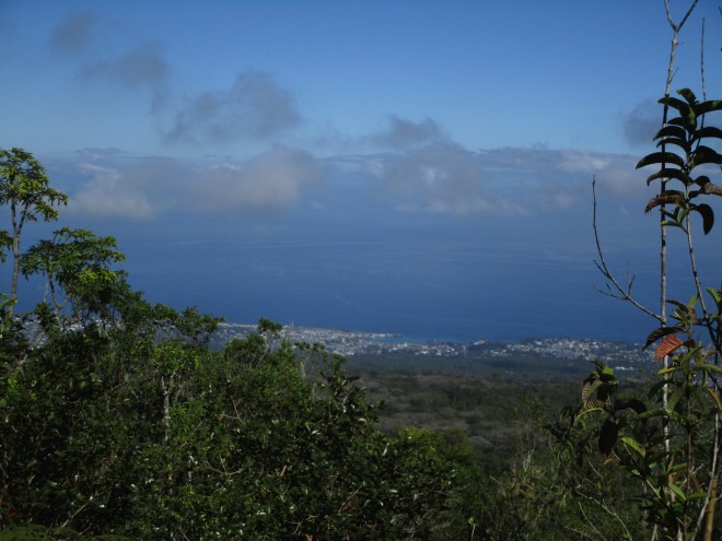 IMG_0866 view of coast