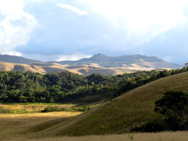 IMG_0888 Pochard lake area