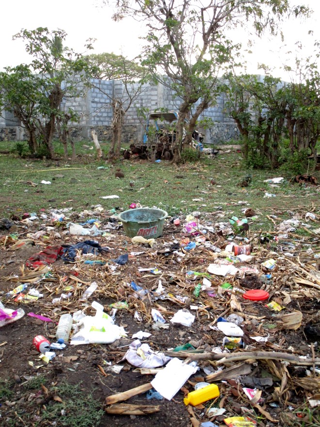 IMG_0915 Moheli rubbish