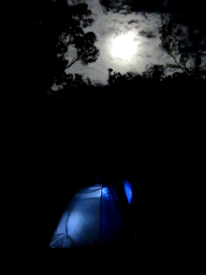 IMG_1566 Mt Katharla campsite