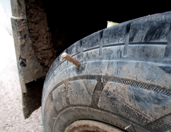 IMG_1124 thorn in tyre