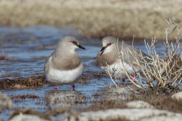 x20131006-_Y9C0949-Edit