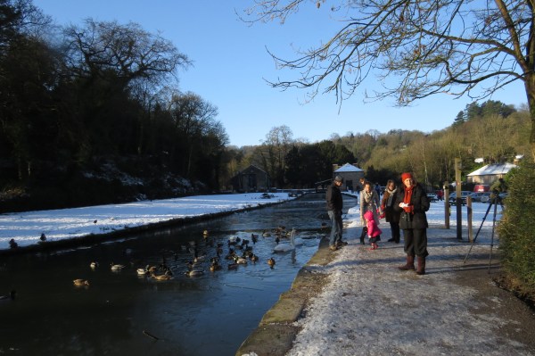 IMG_4282 Cromford canal