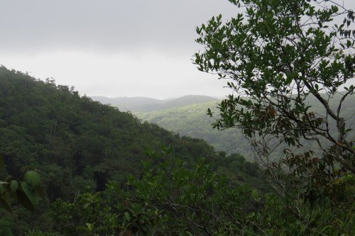 IMG_0137 Serra do Baturite