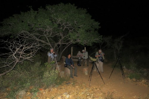 IMG_0490 Lear's site pre-dawn