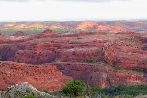 IMG_0523 Canudos Biological Preserve