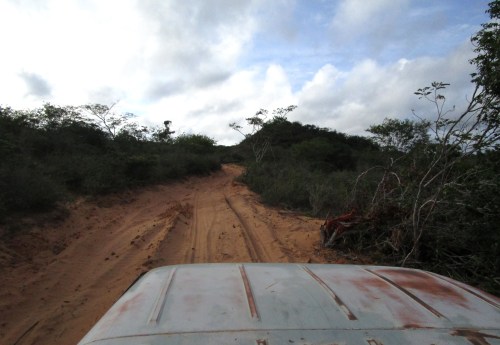 IMG_1348 back of pickup