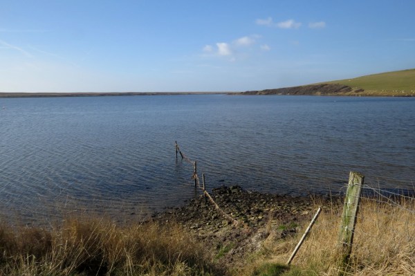 IMG_2526 Rodden Hive