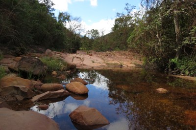 IMG_1013 Cassiornis site