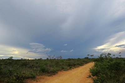 IMG_1356 caatinga nr Mucage